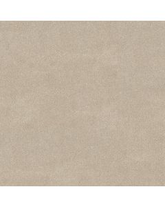 Shaw VIVID TOUCH I Dune View Carpet - SH-5E873-00120