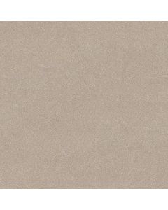 Shaw VIVID TOUCH I Cafe Latte Carpet - SH-5E873-00122