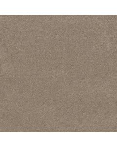 Shaw VIVID TOUCH I Stonecrest Carpet - SH-5E873-00123