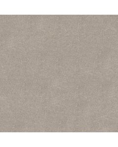 Shaw VIVID TOUCH I Chic Taupe Carpet - SH-5E873-00124