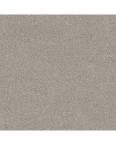 Shaw VIVID TOUCH I Marble Carpet - SH-5E873-00523