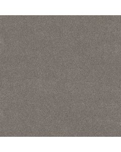 Shaw VIVID TOUCH I Shadows Carpet - SH-5E873-00524