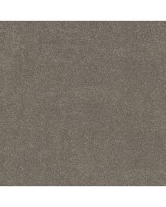 Shaw VIVID TOUCH I Hideaway Carpet - SH-5E873-00722
