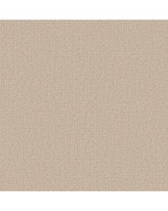 Shaw SECRET JOURNEY Dune View Carpet - SH-5E875-00120