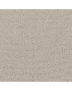 Shaw SECRET JOURNEY Beige Mist Carpet - SH-5E875-00121