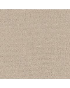 Shaw SECRET JOURNEY Cafe Latte Carpet - SH-5E875-00122