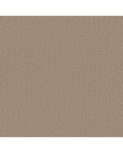 Shaw SECRET JOURNEY Stonecrest Carpet - SH-5E875-00123