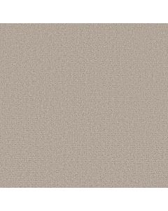 Shaw SECRET JOURNEY Chic Taupe Carpet - SH-5E875-00124