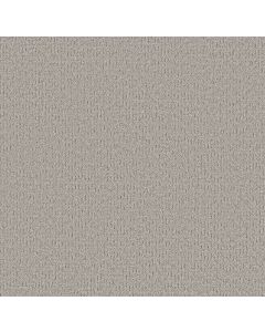 Shaw SECRET JOURNEY Four Winds Carpet - SH-5E875-00520