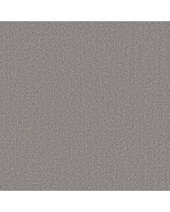 Shaw SECRET JOURNEY Graphic Carpet - SH-5E875-00522