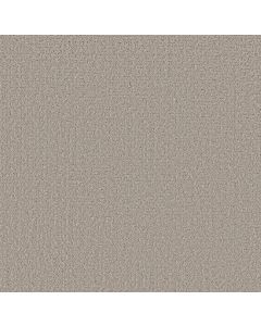 Shaw SECRET JOURNEY Marble Carpet - SH-5E875-00523