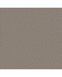 Shaw SECRET JOURNEY Shadows Carpet - SH-5E875-00524