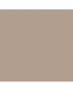 Shaw SECRET JOURNEY Baja Carpet - SH-5E875-00720