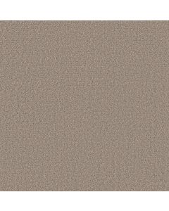 Shaw SECRET JOURNEY Mocha Carpet - SH-5E875-00721