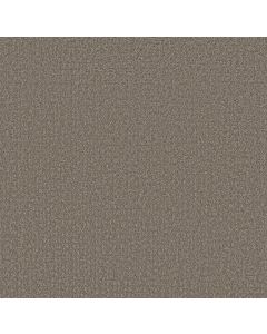 Shaw SECRET JOURNEY Hideaway Carpet - SH-5E875-00722