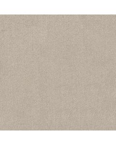 Shaw SECRET DESTINATION Beige Mist Carpet - SH-5E876-00121