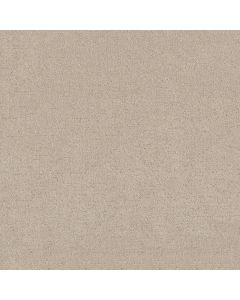 Shaw SECRET DESTINATION Cafe Latte Carpet - SH-5E876-00122