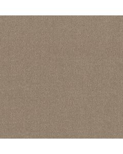 Shaw SECRET DESTINATION Stonecrest Carpet - SH-5E876-00123