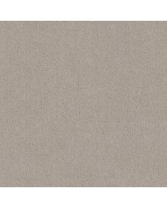 Shaw SECRET DESTINATION Chic Taupe Carpet - SH-5E876-00124