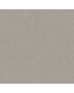 Shaw SECRET DESTINATION Four Winds Carpet - SH-5E876-00520