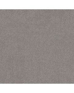 Shaw SECRET DESTINATION Graphic Carpet - SH-5E876-00522