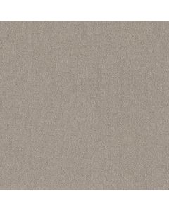 Shaw SECRET DESTINATION Marble Carpet - SH-5E876-00523