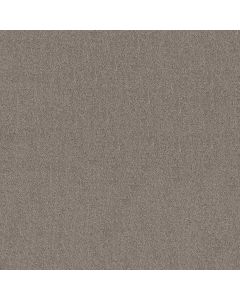 Shaw SECRET DESTINATION Shadows Carpet - SH-5E876-00524