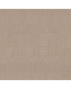 Shaw SECRET DESTINATION Baja Carpet - SH-5E876-00720