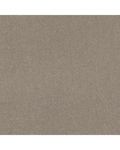 Shaw SECRET DESTINATION Mocha Carpet - SH-5E876-00721