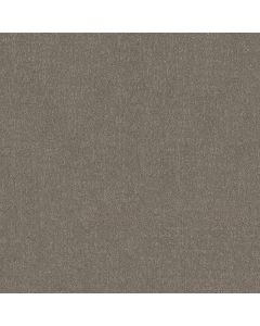 Shaw SECRET DESTINATION Hideaway Carpet - SH-5E876-00722