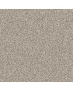 Shaw AGILITY Magnolia Bloom Carpet - SH-5E878-00120