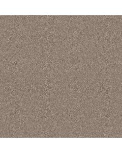 Shaw AGILITY Owl Carpet - SH-5E878-00121