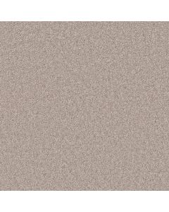 Shaw AGILITY Ornamental Gate Carpet - SH-5E878-00122