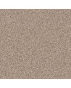 Shaw AGILITY Croissant Carpet - SH-5E878-00220