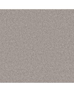 Shaw AGILITY Cloudy Skies Carpet - SH-5E878-00500