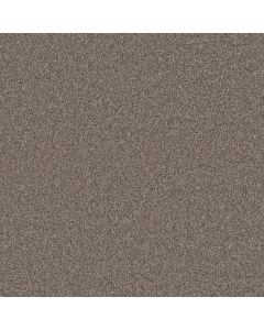 Shaw AGILITY Hammerhead Carpet - SH-5E878-00521