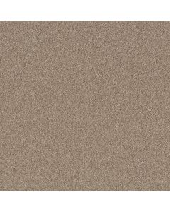 Shaw AGILITY Biscotti Carpet - SH-5E878-00700