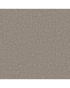 Shaw AGILITY Barely There Carpet - SH-5E878-00720