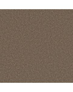 Shaw AGILITY Roasted Coffee Carpet - SH-5E878-00721