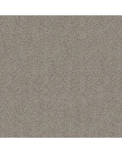 Shaw BREAK FREE Midtown Carpet - SH-5E879-00110