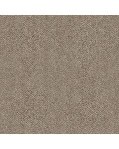Shaw BREAK FREE Cottage Cream Carpet - SH-5E879-00112