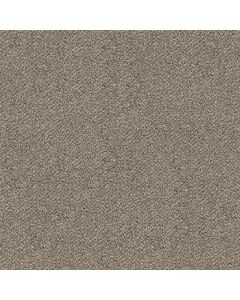 Shaw BREAK FREE Snowdrift Carpet - SH-5E879-00130