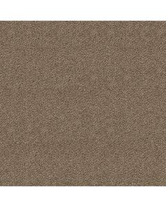 Shaw BREAK FREE Studio Carpet - SH-5E879-00131