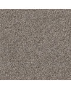 Shaw BREAK FREE Dove Feather Carpet - SH-5E879-00140