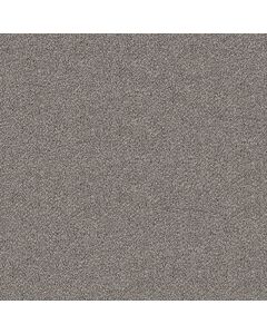 Shaw BREAK FREE Stonegate Carpet - SH-5E879-00141