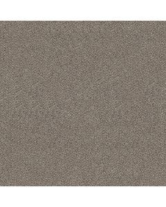 Shaw BREAK FREE Lunar Carpet - SH-5E879-00510