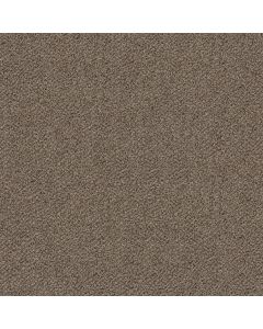 Shaw BREAK FREE Incognito Carpet - SH-5E879-00531