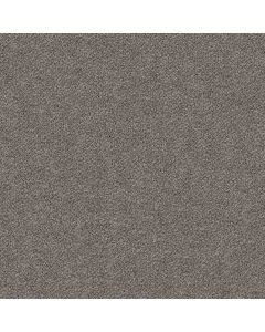 Shaw BREAK FREE Oyster Carpet - SH-5E879-00546