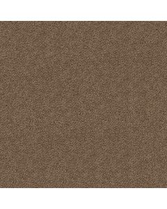 Shaw BREAK FREE Basketry Carpet - SH-5E879-00731