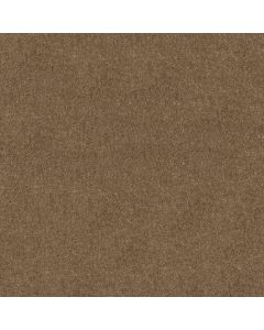 Shaw HOT TOPIC Meadowlark Carpet - SH-5E880-00102